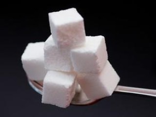 如何计算白糖期权利润？利润计算对白糖期权投资有何作用？