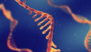 小核酸公司瑞博生物赴港IPO，两年亏超7亿