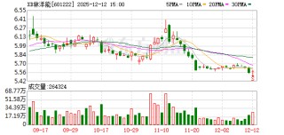 林洋能源：已形成以智能电表、储能系统、新能源技术为主线的专利池与技术储备