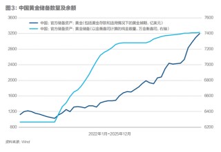 全球央行抢金潮，如何重塑国际储备格局
