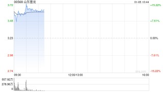 山东墨龙高开逾13% 公司收到政府补助2000万元