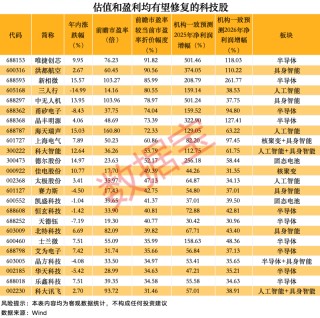 24只科技潜力股出炉：估值盈利或迎双重修复（附全名单）