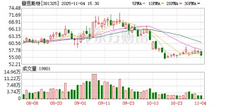 曼恩斯特：选举职工代表董事