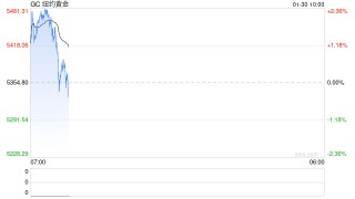 金价剧烈震荡引担忧？WGC：“狂飙涨势”是结构性转变而非投机，今年将继续！