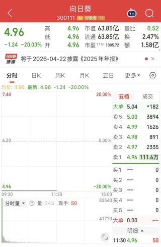 向日葵“20CM”跌停！立案调查，终止重组