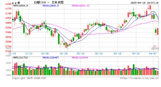 光大期货：4月10日软商品日报