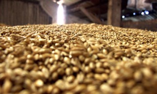 如何认识豆粕在期货中的作用？豆粕作用对期货交易有何影响？