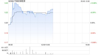 中国安储能源将于5月2日上午起复牌