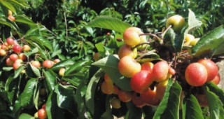 什么是绿色公司债券？绿色公司债券如何促进可持续发展？