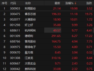 存储芯片板块震荡回暖 大港股份午后涨停