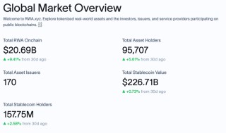 RWA：夹缝中的大象