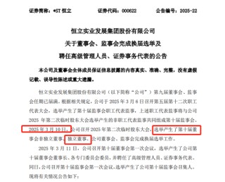 首例！90后独董被罚140万 才干了2个多月 董秘机智保护了自己