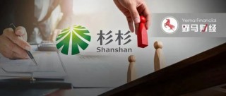 辽宁首富对手来了！马应龙母公司入局杉杉重整