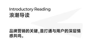 品效双赢：拆解自由点高铁卫生巾项目背后的品牌破局之道