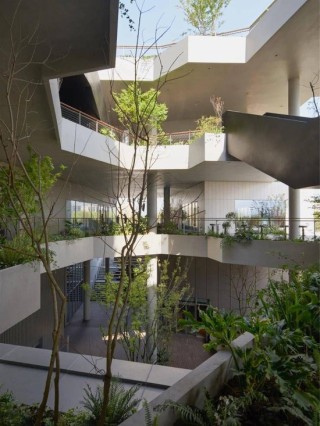 直击博鳌 | 著名建筑设计师青山周平：对“算法设计”不感兴趣