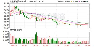 华宝新能：2026年1月12日召开2026年第一次临时股东会