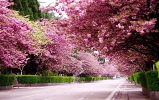 金徽酒两大心病：高端产品占比有待提高，省外营收增速不断放缓