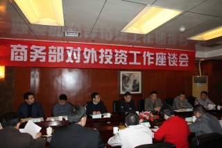 在有资金时的投资方向及考虑因素有哪些？这些因素如何影响投资决策？