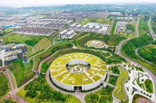 经营现金流大增80%，这家白酒龙头如何穿越周期？