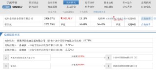 金帝商管耗资近十亿成功“接盘”宁波中百，浙商卢斯侃终于收获一家上市公司