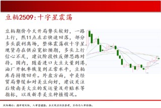 中天期货:棕榈均线间震荡 纯碱弱势格局依旧