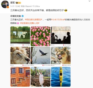 小米雷军的个人IP是一把“双刃剑”，其他企业家不学也罢！