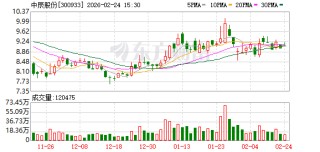中辰股份：截至2026年2月10日公司持股户数为23310户