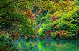 绿色电容的特性有哪些？这些特性在电子设备中的应用如何？