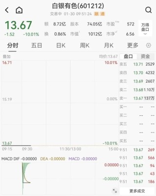 137万手，封死跌停！