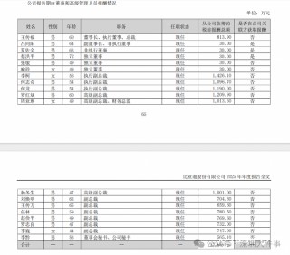 周亚琳（女，1977年生），年薪1013.5万元