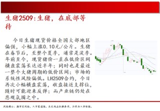 中天期货:棕榈均线间震荡 纯碱弱势格局依旧
