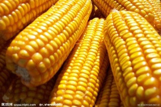 如何进行玉米期货的交易操作？这种操作对市场交易有何影响？