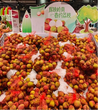 重生的TA | 一颗荔枝的轮回：从“靠天吃饭”到科技丰产