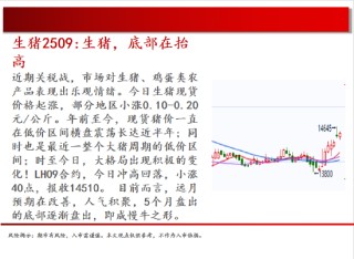 中天期货:螺纹小幅震荡 棉花震荡下行