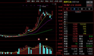 300164，1分钟垂直20%涨停！石油板块，全线爆发！