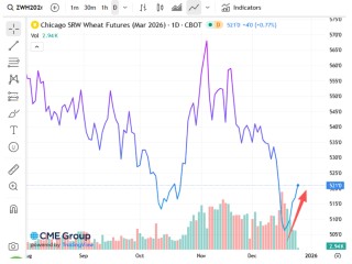 圣诞假期金属集体狂飙，金银铜再创新高，超预期经济数据打击降息预期，全球股市走低