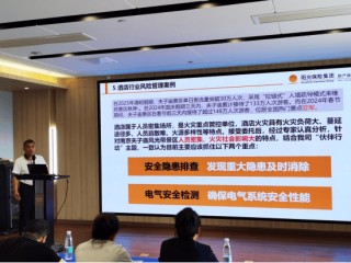 助力“国潮”涌动：阳光财险护航文化产业高质量发展