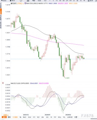 美政策不确定性压制美元 USD/CAD小幅回落