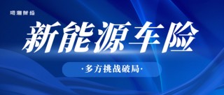 千亿蓝海？新能源车险崛起，盈利初现，全球布局加速，监管、险企、车企迎多方挑战破局