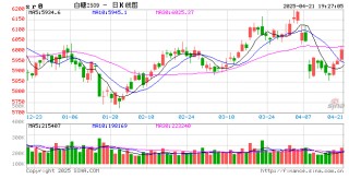 长安期货梁安迪：强现实与弱预期，郑糖短多长空思路对待