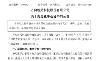 新元科技遭立案股价跌停 董秘立案前夕“跑路”任职不满4个月