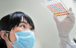 缴纳的医疗保险如何进行有效查询？这种查询方式有哪些便利之处？