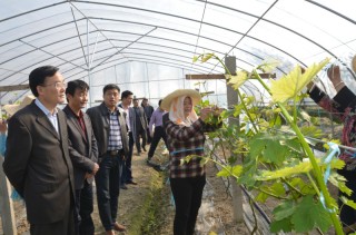 利率上升对物价的影响如何分析？这种分析在实际应用中有哪些局限性？