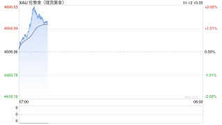 多重风暴叠加，金银齐创新高，现货黄金首破4600美元！