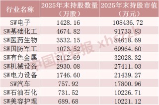 长线资金“扫货”，重仓股曝光