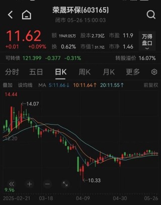 荣晟环保实控人被公安机关采取强制措施