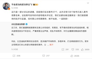 比亚迪李云飞回应黑公关：在诉黑号37个，观察126个