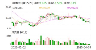 信披不准确不及时！鸿博股份及相关责任人被出具警示函