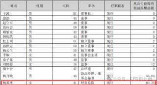 罕见！A股公司3任财务总监被各罚200万！