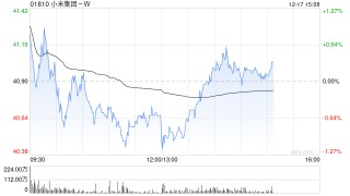 大摩：预期小米集团-WAI将有明显进展 目标价62港元